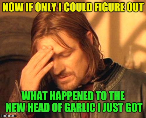 Frustrated Boromir | NOW IF ONLY I COULD FIGURE OUT WHAT HAPPENED TO THE NEW HEAD OF GARLIC I JUST GOT | image tagged in frustrated boromir | made w/ Imgflip meme maker