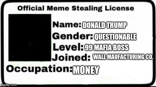 Meme Stealing License | DONALD TRUMP; QUESTIONABLE; 99 MAFIA BOSS; WALL MAUFACTURING CO. MONEY | image tagged in meme stealing license | made w/ Imgflip meme maker
