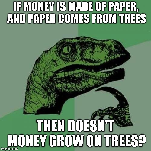 Philosoraptor | IF MONEY IS MADE OF PAPER, AND PAPER COMES FROM TREES; THEN DOESN'T MONEY GROW ON TREES? | image tagged in memes,philosoraptor | made w/ Imgflip meme maker