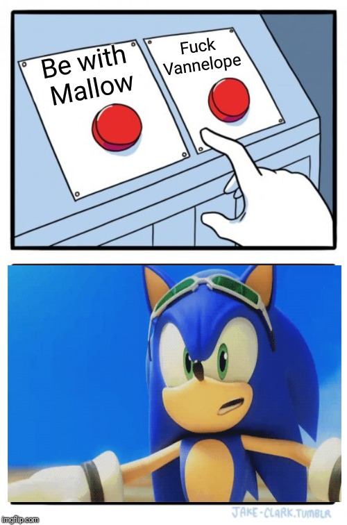 Two Buttons Meme | Fuck Vannelope; Be with Mallow | image tagged in memes,two buttons | made w/ Imgflip meme maker