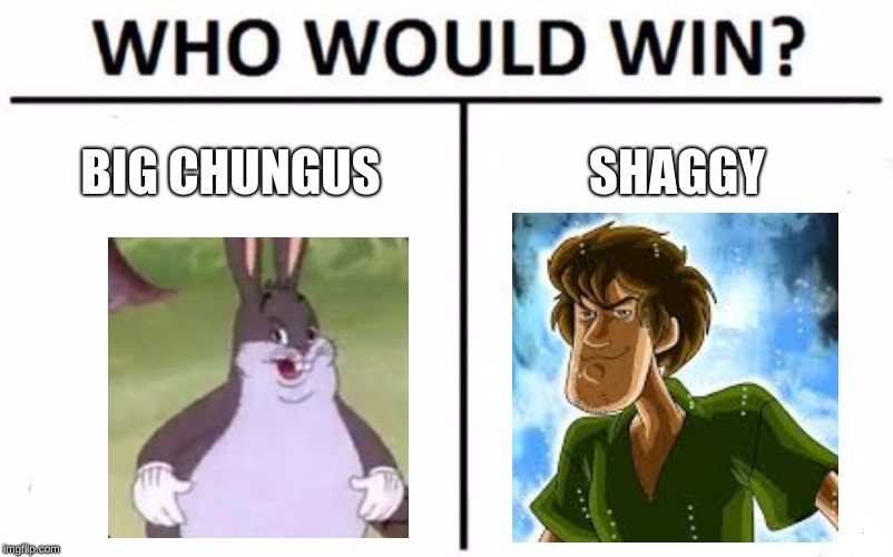 Who Would Win? Meme | BIG CHUNGUS; SHAGGY | image tagged in memes,who would win | made w/ Imgflip meme maker
