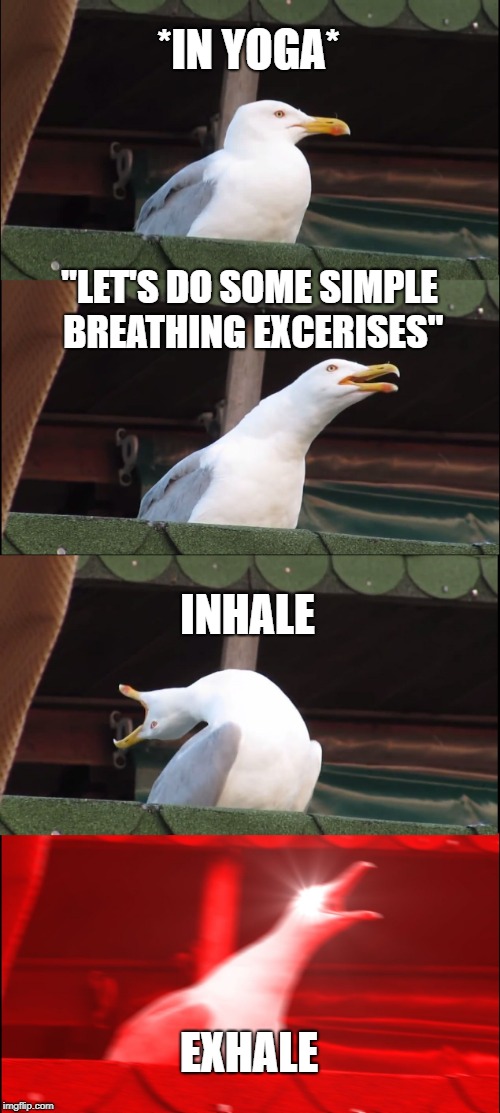 Inhaling Seagull Meme | *IN YOGA*; "LET'S DO SOME SIMPLE BREATHING EXCERISES"; INHALE; EXHALE | image tagged in memes,inhaling seagull | made w/ Imgflip meme maker
