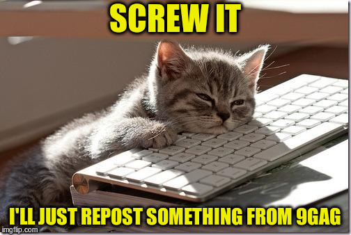 Bored Keyboard Cat | SCREW IT I'LL JUST REPOST SOMETHING FROM 9GAG | image tagged in bored keyboard cat | made w/ Imgflip meme maker