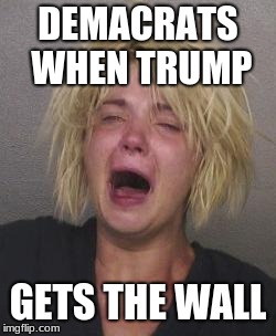 CryingWoman | DEMACRATS WHEN TRUMP; GETS THE WALL | image tagged in cryingwoman | made w/ Imgflip meme maker