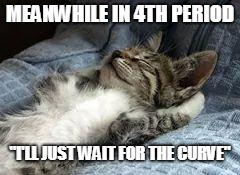 The Chillin kitten | MEANWHILE IN 4TH PERIOD; "I'LL JUST WAIT FOR THE CURVE" | image tagged in the chillin kitten | made w/ Imgflip meme maker