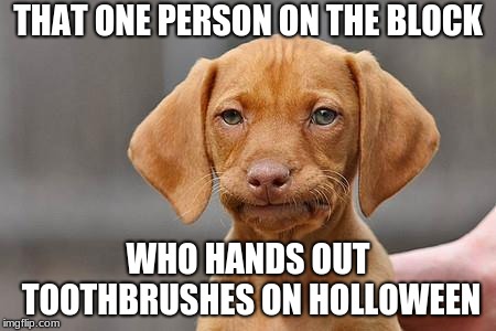 Dissapointed puppy | THAT ONE PERSON ON THE BLOCK; WHO HANDS OUT TOOTHBRUSHES ON HALLOWEEN | image tagged in dissapointed puppy,memes,holloween,so true memes | made w/ Imgflip meme maker
