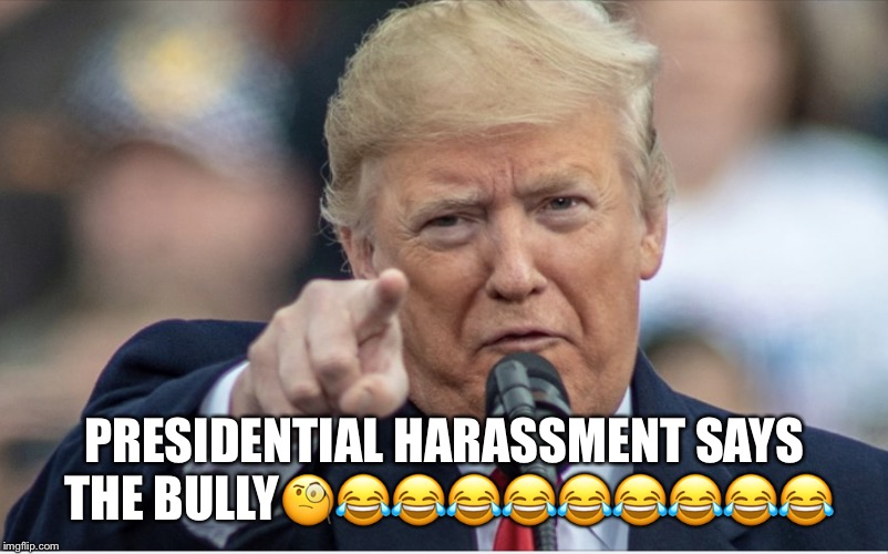 Presidential Harassment, says the Bully! | PRESIDENTIAL HARASSMENT SAYS THE BULLY🧐😂😂😂😂😂😂😂😂😂 | image tagged in donald trump,presidential harassment,lol,bully,victim,lmao | made w/ Imgflip meme maker