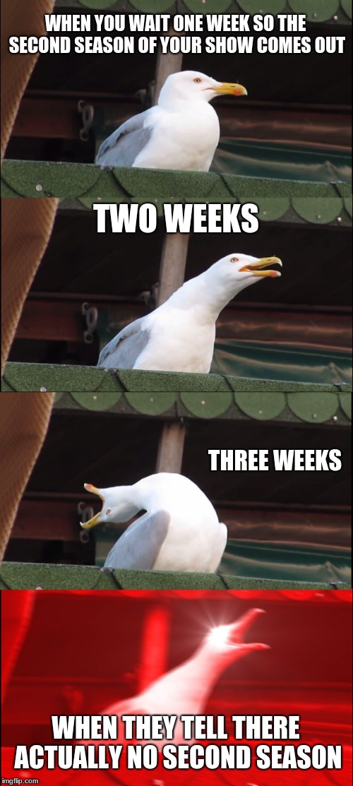 Second season | WHEN YOU WAIT ONE WEEK SO THE SECOND SEASON OF YOUR SHOW COMES OUT; TWO WEEKS; THREE WEEKS; WHEN THEY TELL THERE ACTUALLY NO SECOND SEASON | image tagged in memes,inhaling seagull | made w/ Imgflip meme maker