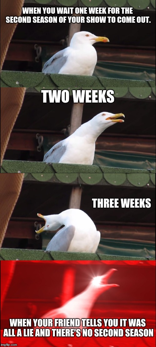 me
 | WHEN YOU WAIT ONE WEEK FOR THE SECOND SEASON OF YOUR SHOW TO COME OUT. TWO WEEKS; THREE WEEKS; WHEN YOUR FRIEND TELLS YOU IT WAS ALL A LIE AND THERE'S NO SECOND SEASON | image tagged in memes,inhaling seagull | made w/ Imgflip meme maker