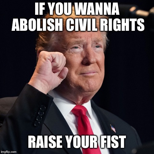 #AbolishCivilRights | IF YOU WANNA ABOLISH CIVIL RIGHTS; RAISE YOUR FIST | image tagged in abolish civil rights,donald trump,prayers,idiots,party of haters,brofist | made w/ Imgflip meme maker