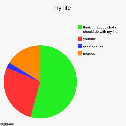 my life | memes, good grades, youtube, thinking about what i should do with my life | image tagged in funny,pie charts | made w/ Imgflip chart maker