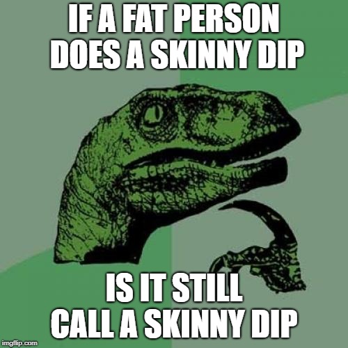Philosoraptor | IF A FAT PERSON DOES A SKINNY DIP; IS IT STILL CALL A SKINNY DIP | image tagged in memes,philosoraptor | made w/ Imgflip meme maker