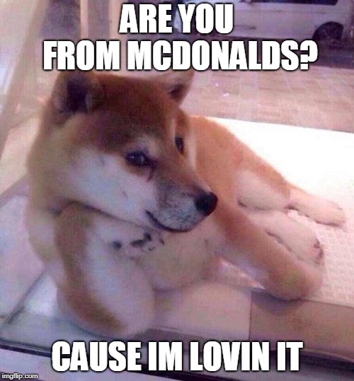 Flirting Doge | ARE YOU FROM MCDONALDS? CAUSE IM LOVIN IT | image tagged in flirting doge | made w/ Imgflip meme maker