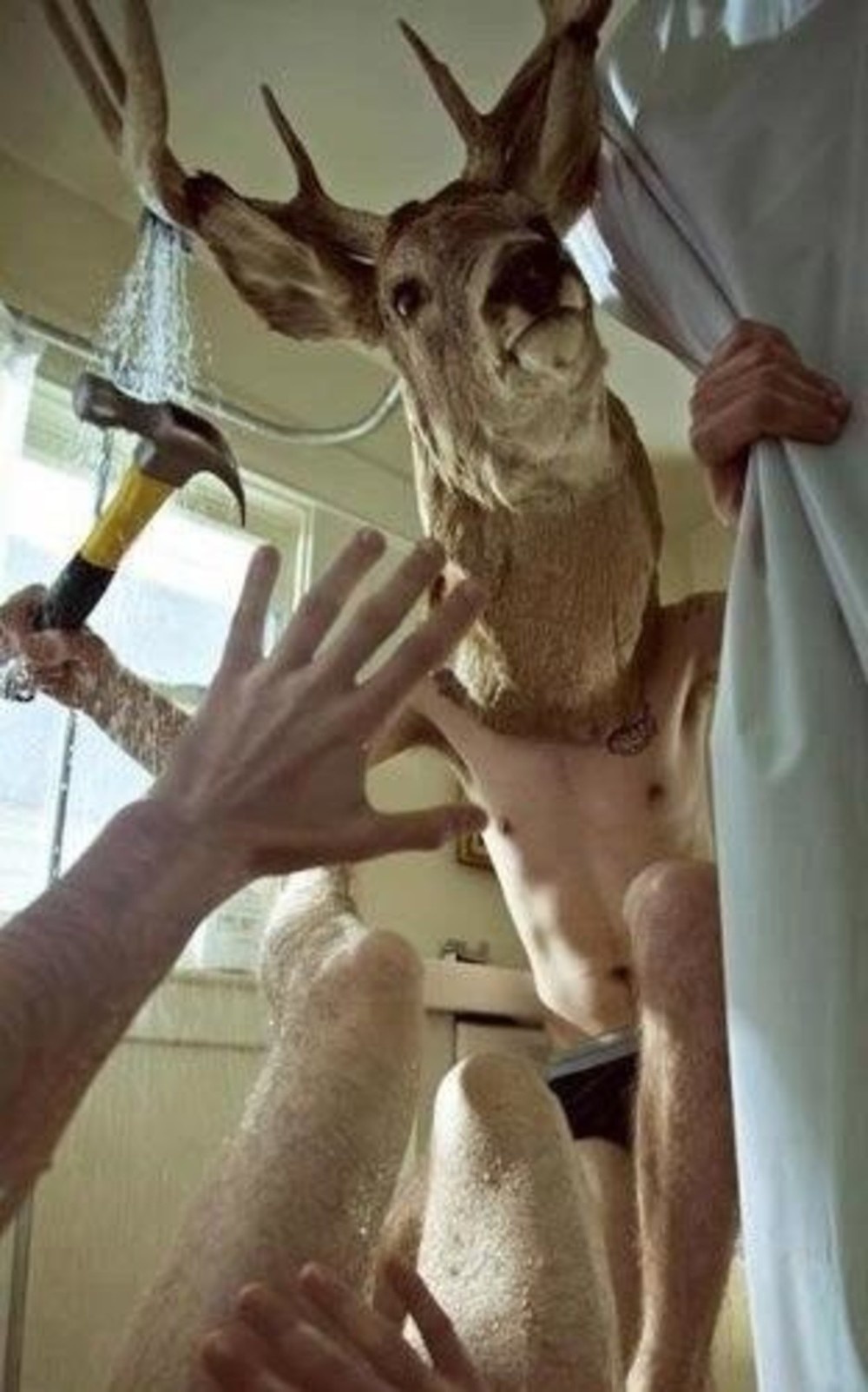 PSYCHO WERE-DEER WITH HAMMER Blank Meme Template