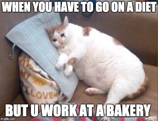 Crying cat | WHEN YOU HAVE TO GO ON A DIET; BUT U WORK AT A BAKERY | image tagged in crying cat | made w/ Imgflip meme maker