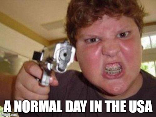 minecrafter | A NORMAL DAY IN THE USA | image tagged in minecrafter | made w/ Imgflip meme maker
