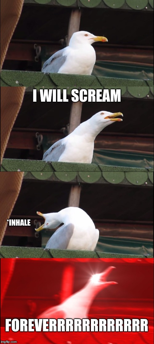 Inhaling Seagull | I WILL SCREAM; *INHALE; FOREVERRRRRRRRRRRR | image tagged in memes,inhaling seagull | made w/ Imgflip meme maker