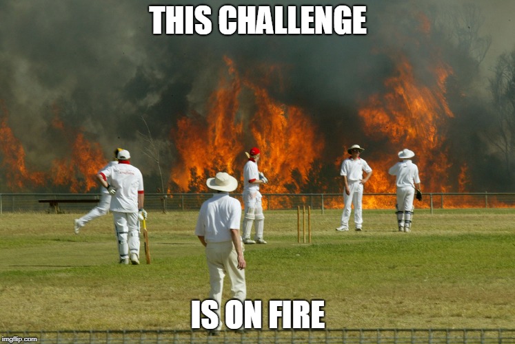 THIS CHALLENGE IS ON FIRE | made w/ Imgflip meme maker