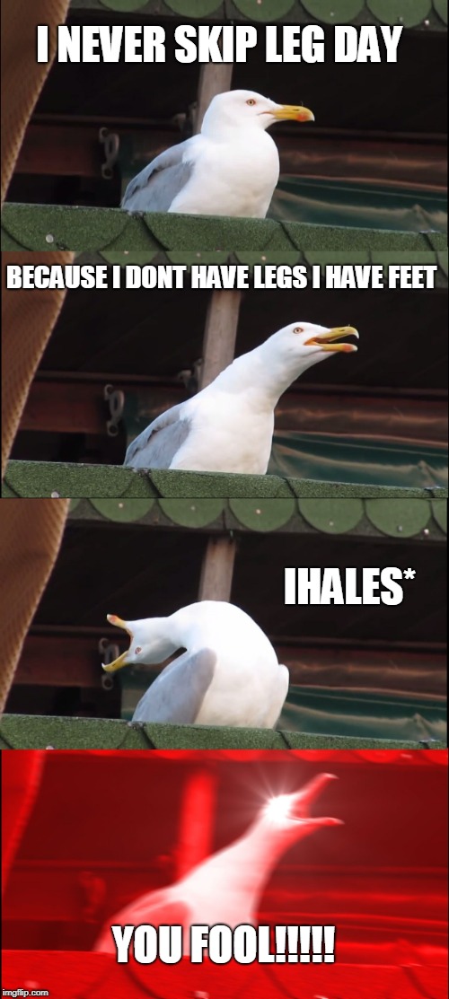 Inhaling Seagull Meme | I NEVER SKIP LEG DAY; BECAUSE I DONT HAVE LEGS I HAVE FEET; IHALES*; YOU FOOL!!!!! | image tagged in memes,inhaling seagull | made w/ Imgflip meme maker
