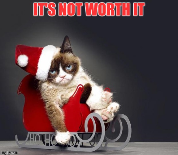 Grumpy Cat Christmas HD | IT'S NOT WORTH IT | image tagged in grumpy cat christmas hd | made w/ Imgflip meme maker