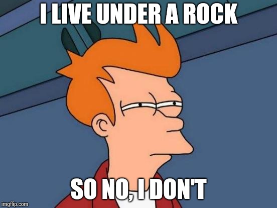 Futurama Fry Meme | I LIVE UNDER A ROCK SO NO, I DON'T | image tagged in memes,futurama fry | made w/ Imgflip meme maker