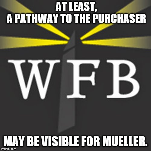 AT LEAST,     A PATHWAY TO THE PURCHASER MAY BE VISIBLE FOR MUELLER. | image tagged in washington free beacon | made w/ Imgflip meme maker