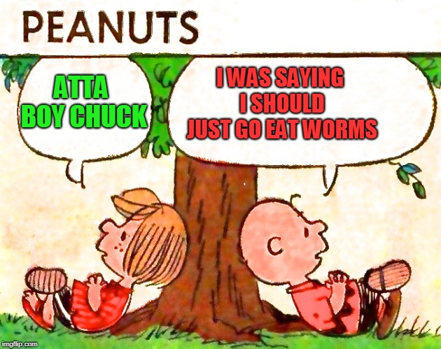 Peanuts Charlie Brown Peppermint Patty | I WAS SAYING I SHOULD JUST GO EAT WORMS ATTA BOY CHUCK | image tagged in peanuts charlie brown peppermint patty | made w/ Imgflip meme maker