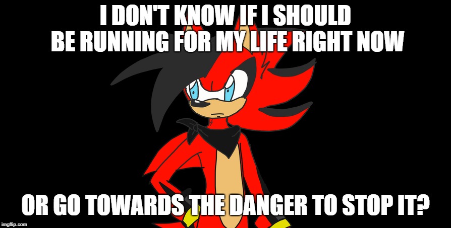 Flash Is Confused | I DON'T KNOW IF I SHOULD BE RUNNING FOR MY LIFE RIGHT NOW; OR GO TOWARDS THE DANGER TO STOP IT? | image tagged in sonic the hedgehog | made w/ Imgflip meme maker