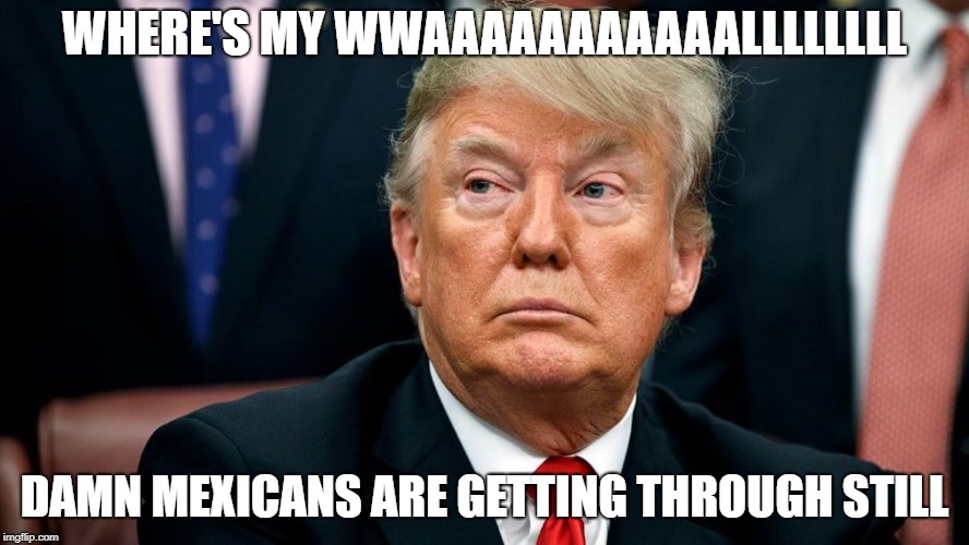 WHERE'S MY WWAAAAAAAAAAALLLLLLLL; DAMN MEXICANS ARE GETTING THROUGH STILL | image tagged in political meme | made w/ Imgflip meme maker