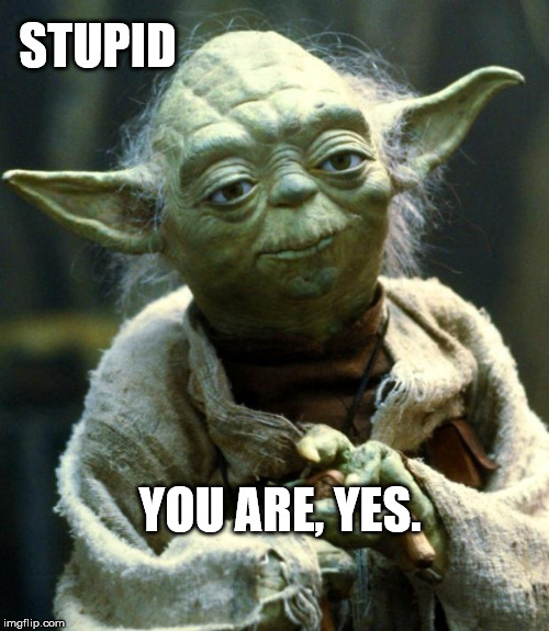 Star Wars Yoda Meme | STUPID; YOU ARE, YES. | image tagged in memes,star wars yoda | made w/ Imgflip meme maker