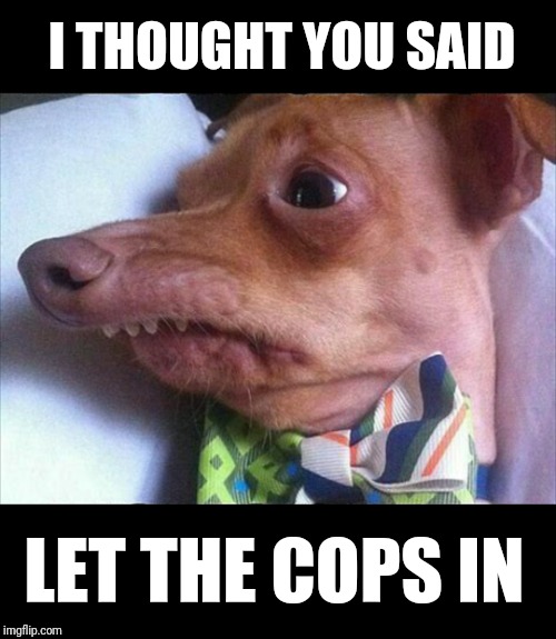 Bobo the dog (Cops) | I THOUGHT YOU SAID; LET THE COPS IN | image tagged in cops,funny | made w/ Imgflip meme maker