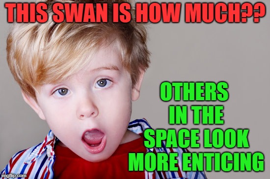 THIS SWAN IS HOW MUCH?? OTHERS IN THE SPACE LOOK MORE ENTICING | made w/ Imgflip meme maker