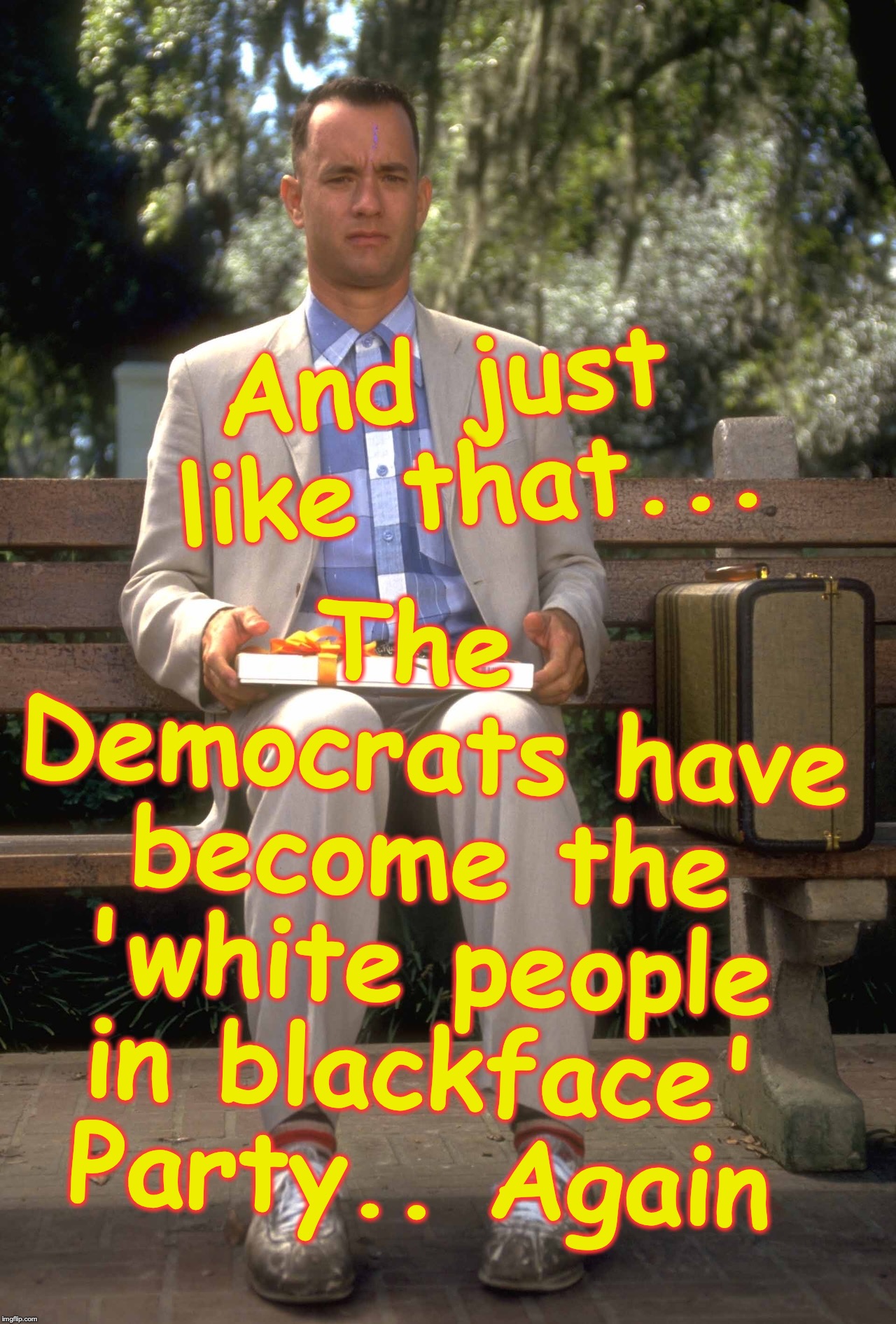 Forrest Gump | The Democrats have become the 'white people in blackface' Party.. Again; And just like that... | image tagged in forrest gump | made w/ Imgflip meme maker