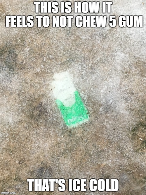 That must be cold | THIS IS HOW IT FEELS TO NOT CHEW 5 GUM; THAT'S ICE COLD | image tagged in 5 gum,ice,gum | made w/ Imgflip meme maker