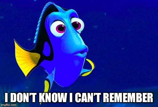 Bad Memory Fish | I DON’T KNOW I CAN’T REMEMBER | image tagged in bad memory fish | made w/ Imgflip meme maker