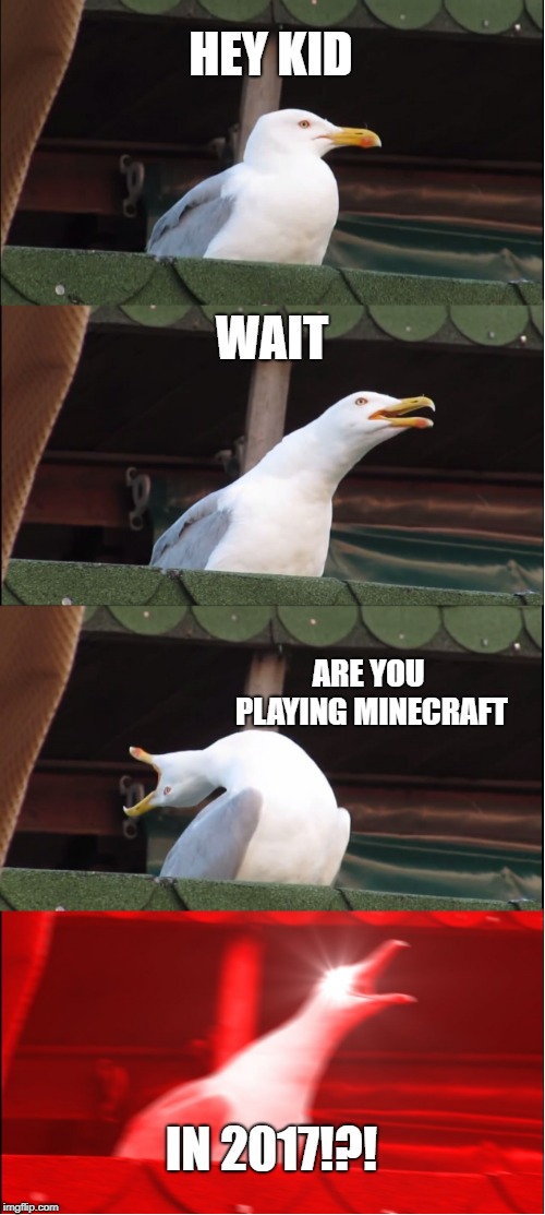 Its an old joke from simpler times of last year. Don't ask... | HEY KID; WAIT; ARE YOU PLAYING MINECRAFT; IN 2017!?! | image tagged in memes,inhaling seagull,minecraft,video games,gaming | made w/ Imgflip meme maker