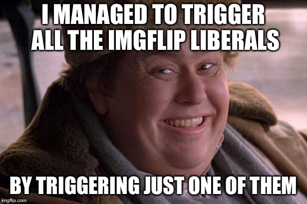 I managed to trigger all the liberals. billyvoltaire | I MANAGED TO TRIGGER ALL THE IMGFLIP LIBERALS; BY TRIGGERING JUST ONE OF THEM | image tagged in i managed to trigger all the liberals billyvoltaire | made w/ Imgflip meme maker
