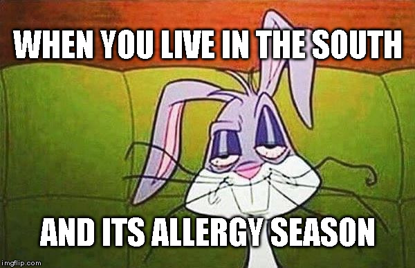 Allergy Season | WHEN YOU LIVE IN THE SOUTH; AND ITS ALLERGY SEASON | image tagged in allergy,the south | made w/ Imgflip meme maker