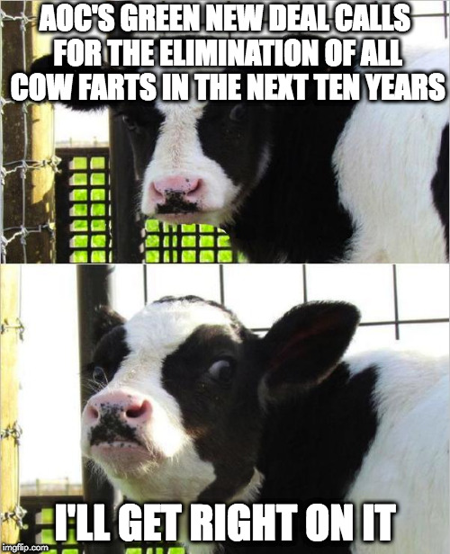 cows | AOC'S GREEN NEW DEAL CALLS FOR THE ELIMINATION OF ALL COW FARTS IN THE NEXT TEN YEARS; I'LL GET RIGHT ON IT | image tagged in cows | made w/ Imgflip meme maker