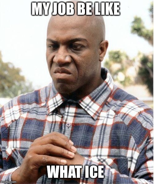 debo | MY JOB BE LIKE; WHAT ICE | image tagged in debo | made w/ Imgflip meme maker