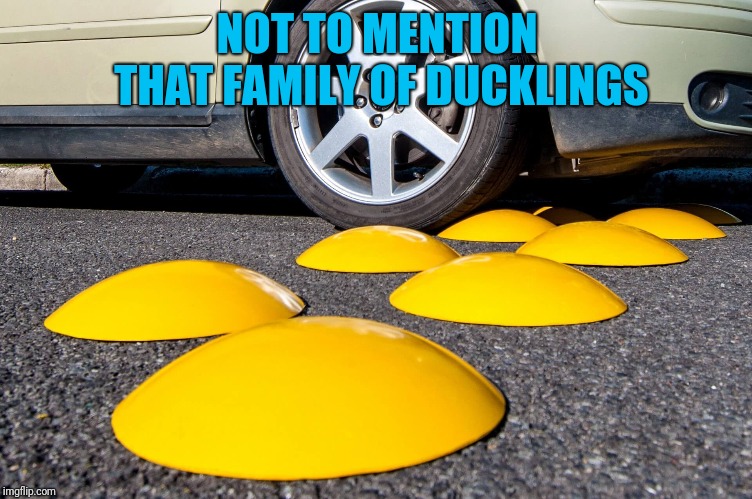 NOT TO MENTION THAT FAMILY OF DUCKLINGS | made w/ Imgflip meme maker