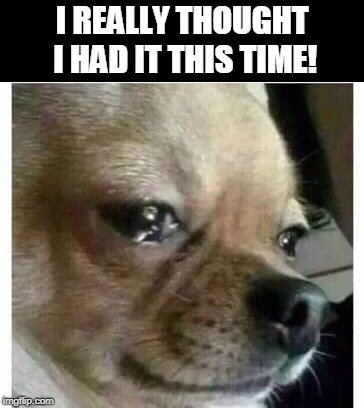crying dog | I REALLY THOUGHT I HAD IT THIS TIME! | image tagged in crying dog | made w/ Imgflip meme maker