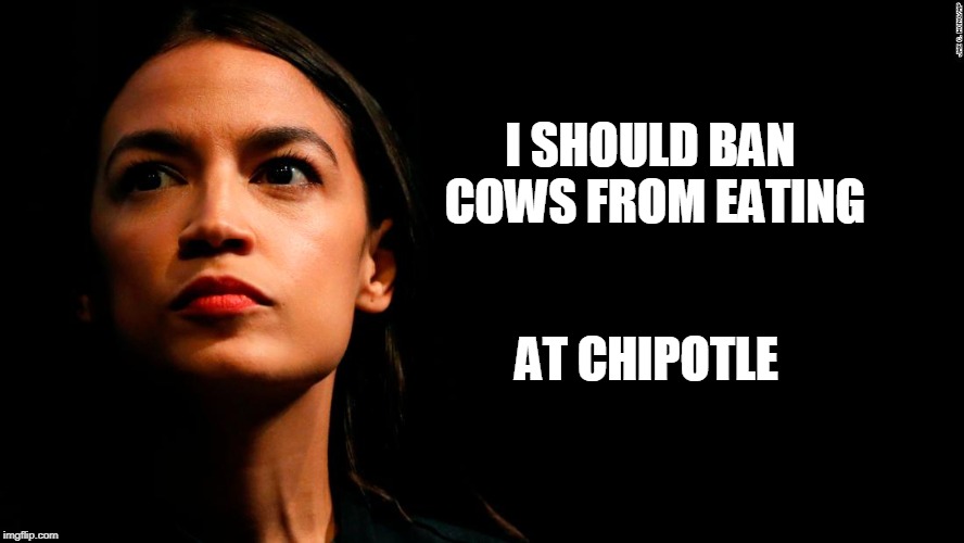 ocasio-cortez super genius | I SHOULD BAN COWS FROM EATING AT CHIPOTLE | image tagged in ocasio-cortez super genius | made w/ Imgflip meme maker