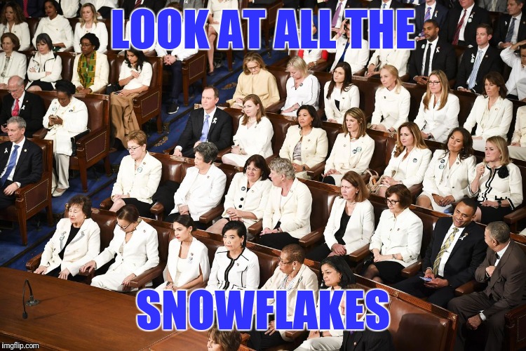 Snowstorm in the House | LOOK AT ALL THE; SNOWFLAKES | image tagged in toxic femininity,liberals,snowflakes,democrats | made w/ Imgflip meme maker