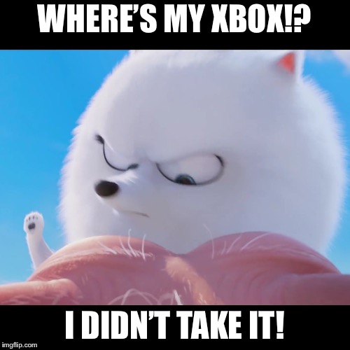 Gidget Wants Her Xbox Back | WHERE’S MY XBOX!? I DIDN’T TAKE IT! | image tagged in gidget slap,the secret life of pets,xbox,memes | made w/ Imgflip meme maker