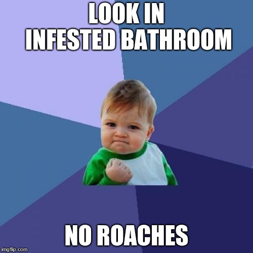 Success Kid | LOOK IN INFESTED BATHROOM; NO ROACHES | image tagged in memes,success kid | made w/ Imgflip meme maker