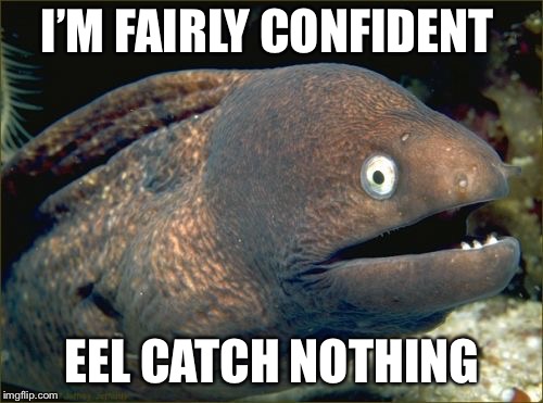 Bad Joke Eel Meme | I’M FAIRLY CONFIDENT EEL CATCH NOTHING | image tagged in memes,bad joke eel | made w/ Imgflip meme maker