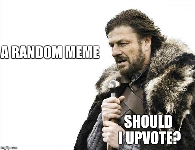 Brace Yourselves X is Coming | A RANDOM MEME; SHOULD I UPVOTE? | image tagged in memes,brace yourselves x is coming | made w/ Imgflip meme maker