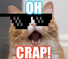 Wow | OH; CRAP! | image tagged in wow | made w/ Imgflip meme maker