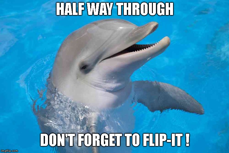 Fuck the flippers! | HALF WAY THROUGH DON'T FORGET TO FLIP-IT ! | image tagged in fuck the flippers | made w/ Imgflip meme maker